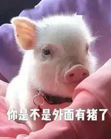 套路表情包一套猪熬夜