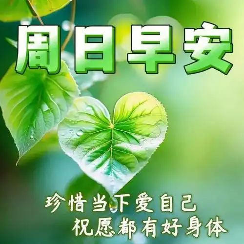  2024年6月23日农历五月十八祝福图片星期日最新问候美图周末愉快