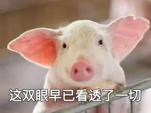  出轨殉情车祸失忆,没想到9012年还有这么狗血的剧