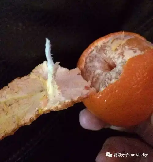  25张完美的照片,强迫症看完瞬间被治愈了