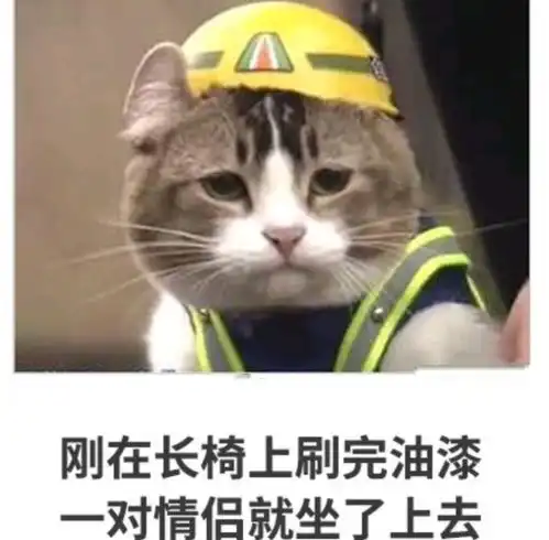  搞笑图片当裤子失去皮带,才懂得什麽叫做依赖腾讯新闻