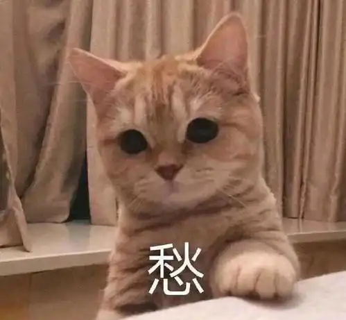 搞笑表情包动态图片情话