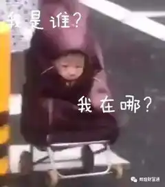  绝对是自家孩子暴雨孩子塞买菜车一夜爆火,一脸懵逼表情包上线