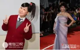  何炅汪涵李湘林志颖李维嘉同龄不同貌的明星
