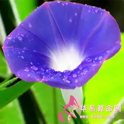  白羊座男生对待他爱的女生是怎样的