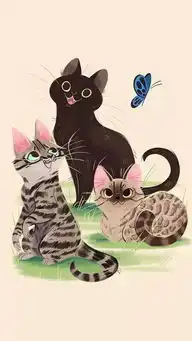  猫猫壁纸撸猫是人生一大乐趣
