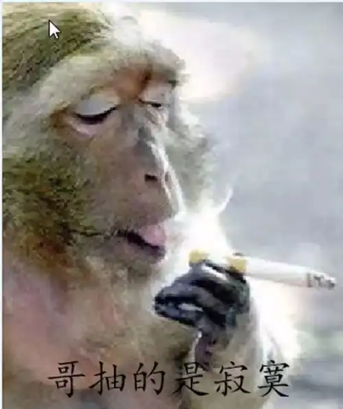 有一种寂寞叫留学生  有一种寂寞叫留学生