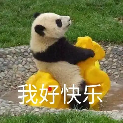 没你不行熊猫头表情包猫