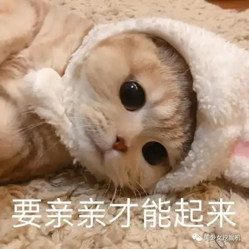 凤姐的图片大全表情包蔡