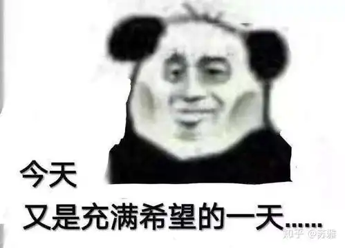 没你不行熊猫头表情包比