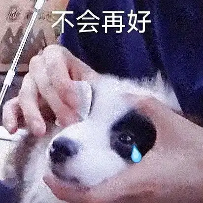  吃饭时同事斗嘴太好笑导致我笑得把一粒米饭喷到了对面crush帅...