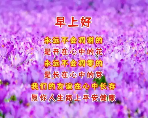  超暖心早上好祝福问候语图片朋友圈早安问候语句送朋友