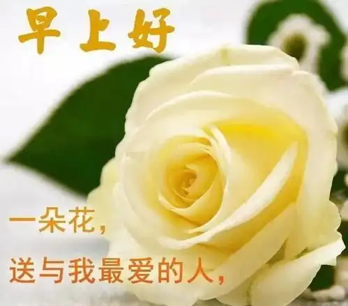 清晨早上好问候语表情图片2020漂亮早安正能量问候语