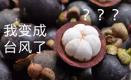  云南人别以为和你无关今年最强台风直扑而来,现场图片让人很方