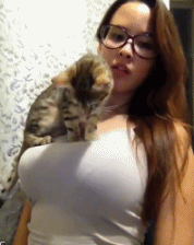  搞笑gif趣图人不如猫啊那猫,放开那个女子