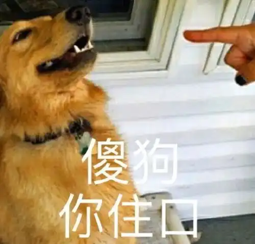  骚表情动态图片可爱骚气的表情图片超能街机