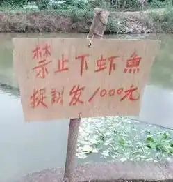 夏天热的图片 搞笑图片