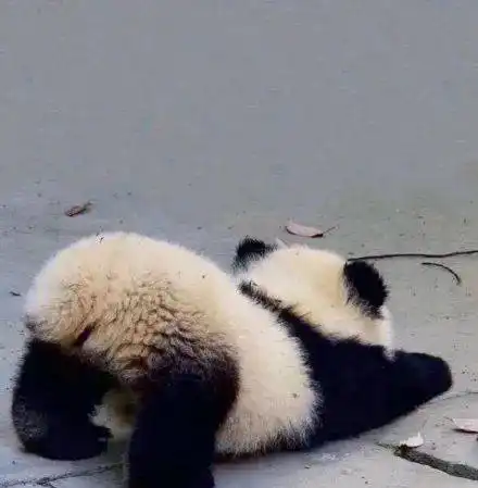  搞怪有趣沙雕头像