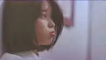  每日一囧搞笑高清正版视频在线观看