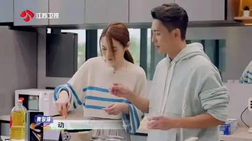  野挺有趣黄宗泽辅助做饭,蔡洁厨艺首秀堪称完美