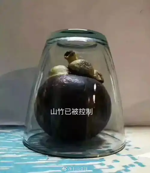  放假无聊这两天被山竹逗乐的广东人,太搞笑了
