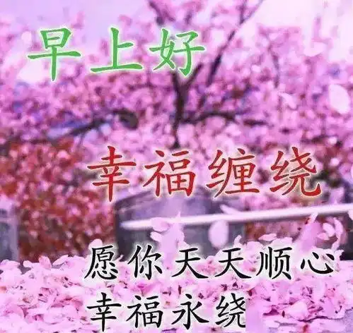  非常漂亮的冬天早上好表情图片,最美的花,送给最美的你