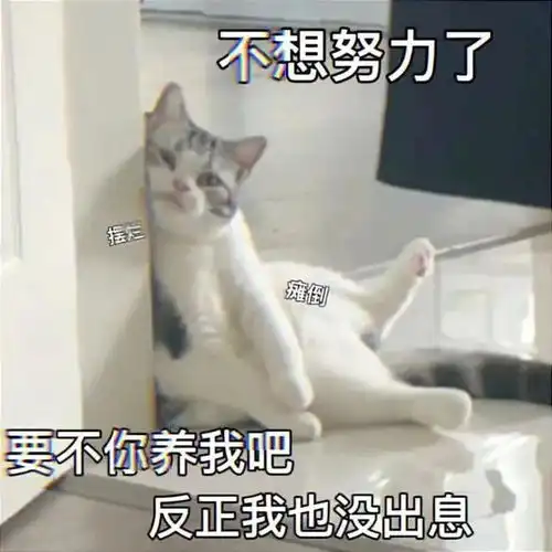  我想通了丨第794期喵表情包