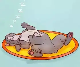 3分钟看完狗狗睡姿最全图解  3分钟看完狗狗睡姿最全图解