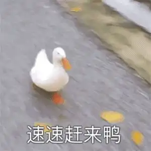  英语精选作文模板