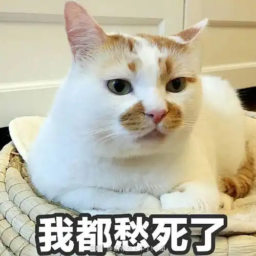  在家这段时间跟父母有哪些观念无法融合