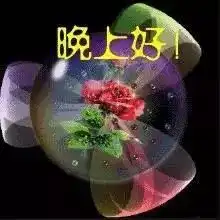 晚安问候语晚安祝福语大全