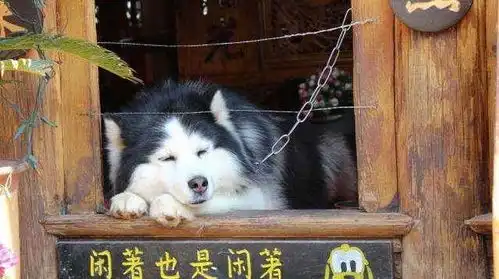  搞笑gif图片笑话段子看那个美女,身材好好啊