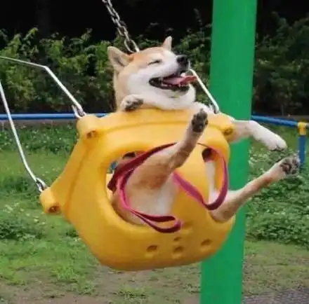 爆笑头像照片沙雕动物