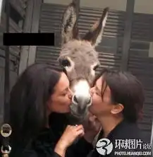 真正的强人恶搞无极限  真正的强人恶搞无极限