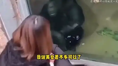 爆笑妹子你低调点吧,别人都以为你是来认祖归宗的  爆笑妹子你低调点吧,别人都以为你是来认祖归宗的