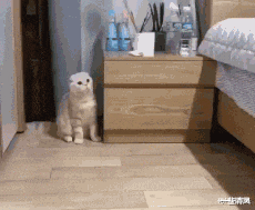  传说中的采阴补阳,在现实中可以实现吗那叫采阳补阴