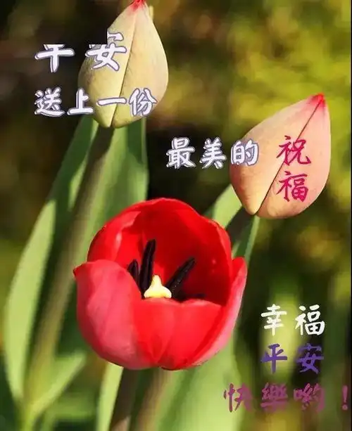  早晨,将阳光呼吸,将幸福抱起,祝你早安温馨无比