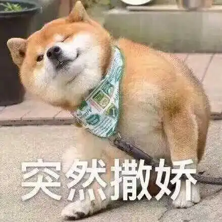 狗抱着腿踢不掉表情包