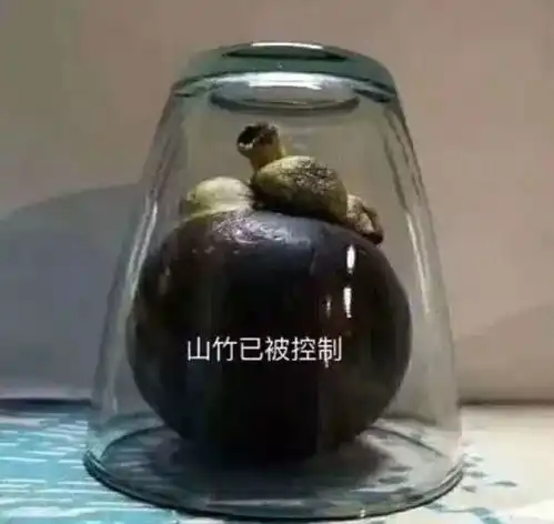  食时视野青春大学习