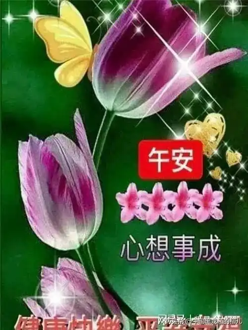  欣赏午安祝福美图