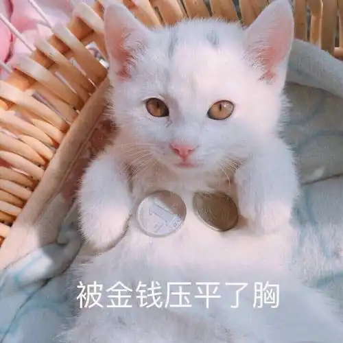  就关于副业客源
