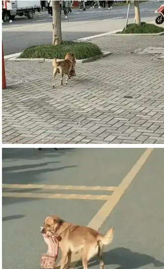 搞笑图集从沙雕寝室找出来的,真笑死我了  搞笑图集从沙雕寝室找出来的,真笑死我了