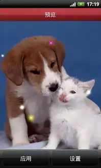 超萌小猫咪动态壁纸  超萌小猫咪动态壁纸