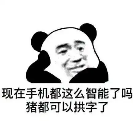  表情包我慕了,睡觉睡觉