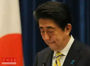 安倍晋三搞笑gif图片访