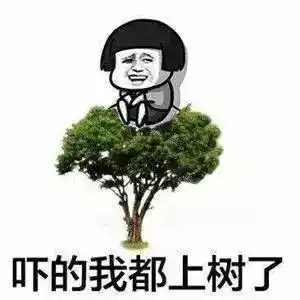 轻松一刻各科老师经典搞笑段子哈哈哈哈哈扶我起来,我还能再笑会
