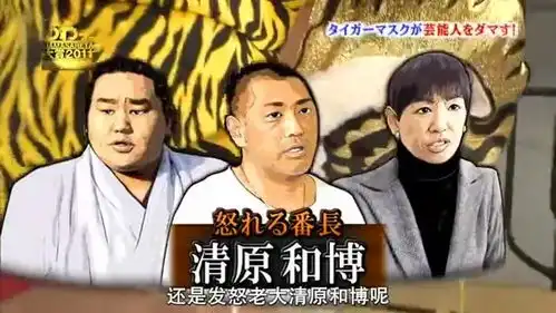  日本综艺日本超搞笑综艺整人大赏2011年