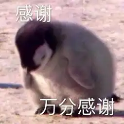  表情包,直男怎么哄女生,土味套路情话你想知道么