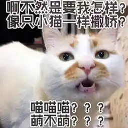  中考成绩涨了那么多,志愿怎么填报第一二名分别来自这些初中和小学