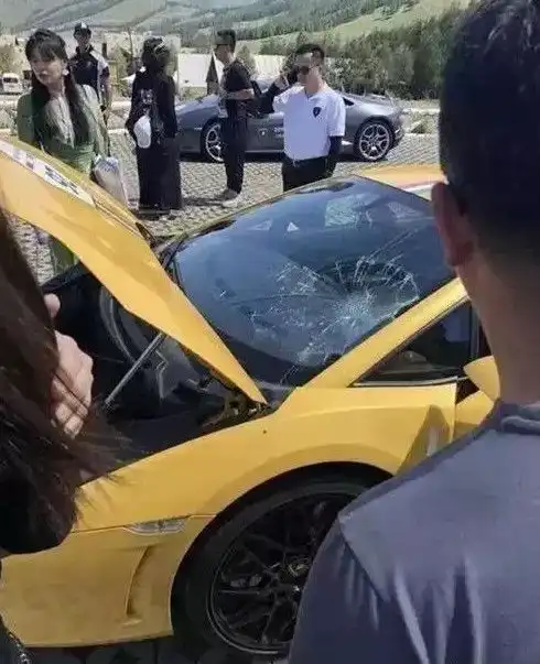  搞笑图片姑娘玩的开心很好,但求猫咪心里阴影面积,网友怕怕